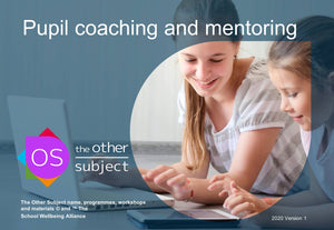 Pupil coaching and mentoring
