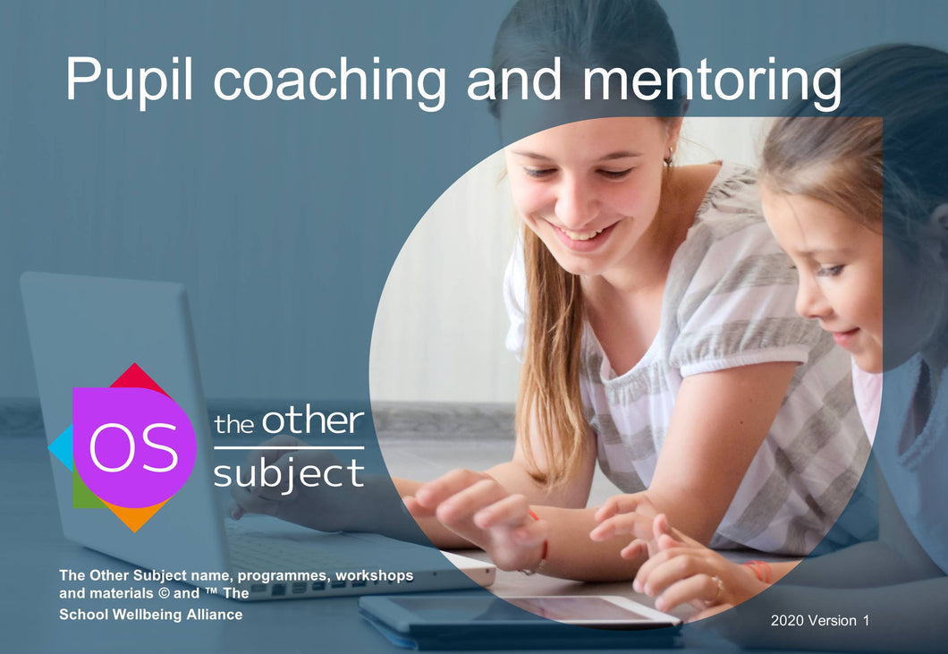 Pupil coaching and mentoring- Extra participants