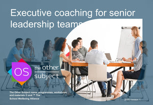 Executive coaching for senior leadership teams- Extra participants